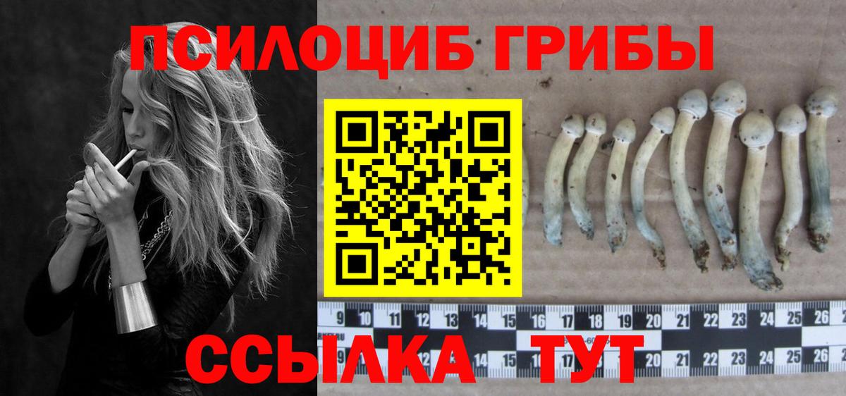 Псилоцибиновые грибы GOLDEN TEACHER  Вход с VPN  Заволжье  Галлюциногенные грибы MAGIC MUSHROOMS 
