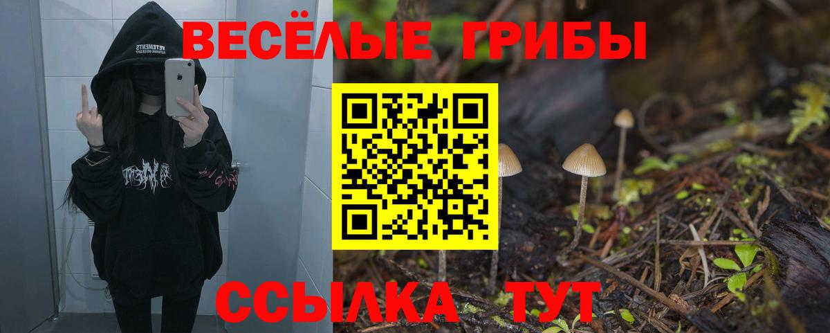 Галлюциногенные грибы Cubensis Заволжье